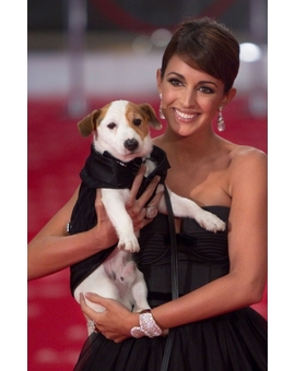 ¿PERO QUE ES ESTO?..'Pancho', el perro más rico de España, tendrá su propia película producida por atresmedia ( NO ES BROMA)