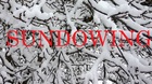 Argumento-y-protagonistas-de-sundowing-la-nueva-peli-de-terror-low-cost-de-m-night-shymaland-c_s