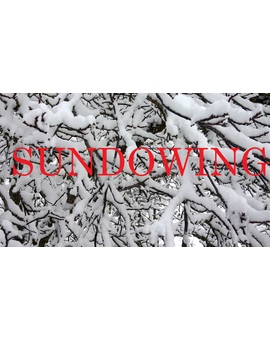 ARGUMENTO Y PROTAGONISTAS de "SUNDOWING" la nueva PELI DE TERROR LOW COST de M .NIGHT SHYMALAN