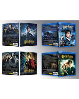Harry Potter 1 y 2 Custom Covers