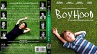 Una-buena-caratula-para-una-buena-pelicula-aqui-mi-caratula-para-boyhood-c_s