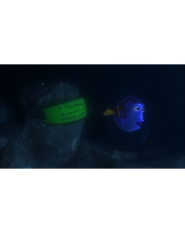 Capturas Bluray Buscando a Nemo 4/8