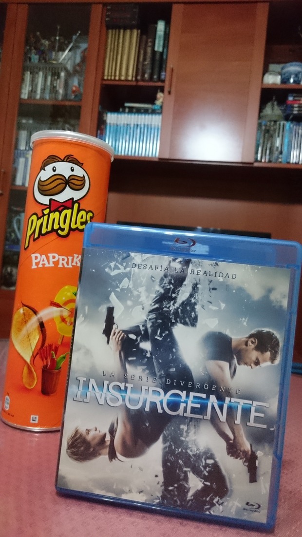 INSURGENTE FINAL DE MIS VACACIONES