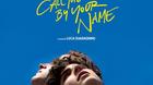 Mi-critica-de-call-me-by-your-name-c_s