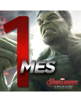Solo UN mes para el regreso de Los Vengadores . ¿ Qué esperáis de la segunda parte ? 