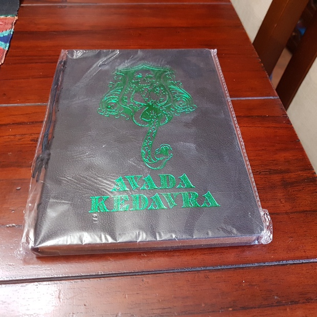 Diario de Las Artes Oscuras Avada Kedavra de Harry Potter