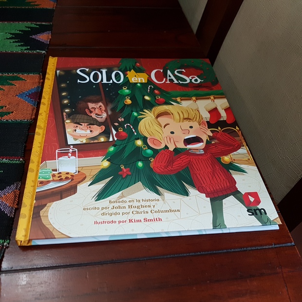 Libro de Solo en casa del año 2019