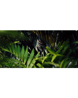 DEBATE: El CGI de Jurassic World