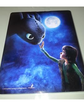 How to train your dragon (backside)