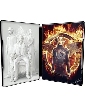 Interior provisional del steelbook 