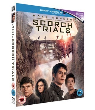 The Scorch Trials bluray