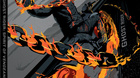 Ghost-rider-the-spirit-of-vengeance-steelbook-c_s