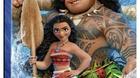 Moana-steelbook-fnac-com-c_s