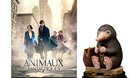 Animales-fantasticos-y-edicion-figura-c_s