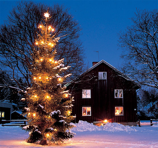  FELIZ NAVIDAD para todos