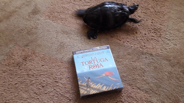 Dos tortugas haciéndose compañía 