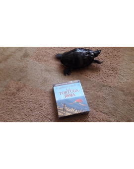 Dos tortugas haciéndose compañía 