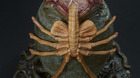 Huevo-alien-activada-la-preventa-c_s
