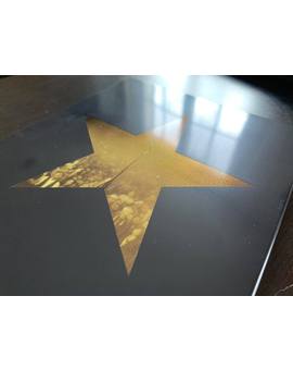 Steelbook francés brillante