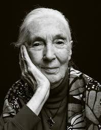 Jane Goodall ha fallecido