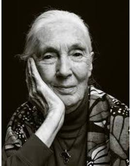 Jane Goodall ha fallecido