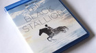 The-black-stallion-el-corcel-negro-mgm-usa-c_s