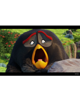 The Angry Birds Movie, nuevo trailer