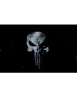 PUNISHER (El Castigador), serie confimada
