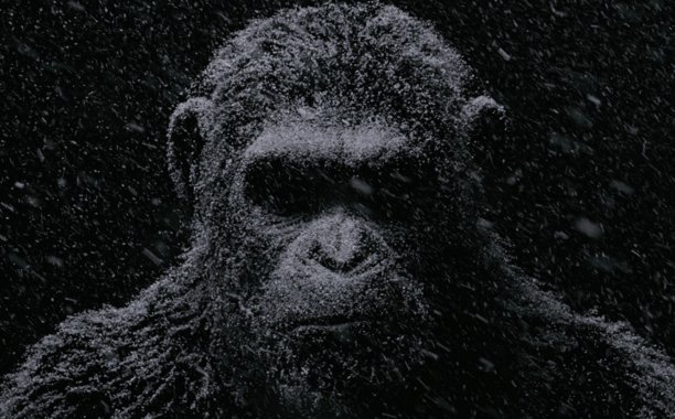 Guerra por el Planeta de los Simios, adelanto