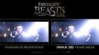 Asi-se-vera-animales-fantasticos-en-las-pantallas-de-las-salas-imax-c_s