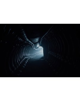 185612082104, Alíen Covenant, pasillo malrrollero y tercer código (cuenta atrás para el trailer en microsegundos)