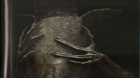 De-uno-de-los-murales-que-desaparecen-de-prometheus-c_s