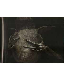 (((SPOILERS DE COVENANT))) Imagen de uno de los murales que desaparecen en el templo de Prometheus
