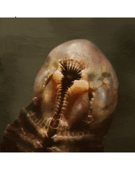 120 imágenes de arte conceptual, guión gráfico y fotos tras las cámaras de Alien Covenant