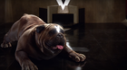 Inhumanos-primer-trailer-c_s