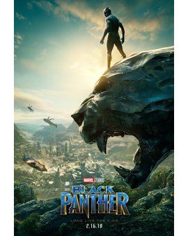 Póster de Pantera Negra