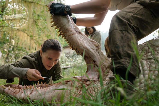 Primera imagen oficial de Annihilation, con Natalie Portman, Oscar Isaac, Tessa Thompson y Jennifer Jason Leigh, y basada en la novela del mismo nombre de  Jeff VanderMeer