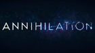 Annihilation-c_s