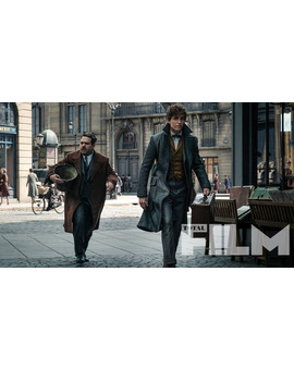 Nueva imagen de Animales Fantásticos y Los Crímenes de Grindelwald