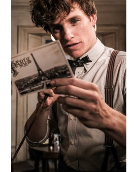 Nueva imagen de Newt Scamander en la secuela de Animales Fantásticos