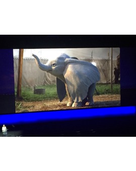 Vistazo a Dumbo desde la Cinema Con