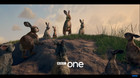 Watership-down-trailer-bbc-c_s