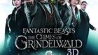 Nuevas-caratulas-para-las-ediciones-inglesas-de-los-crimenes-de-grindelwald-c_s