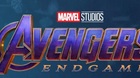 Endgame-promo-art-c_s