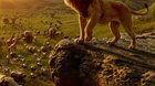 Poster-chino-de-el-rey-leon-c_s