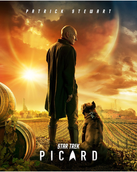 Nuevo póster de STAR TREK John Wick... digo PICARD