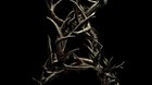 Poster-de-antlers-cornamenta-de-scott-cooper-con-guillermo-del-toro-de-productor-c_s