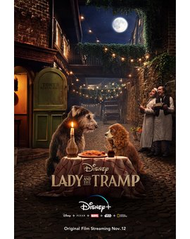 Póster de LA DAMA Y EL VAGABUNDO