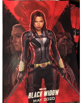 Póster y arte conceptual de VIUDA NEGRA