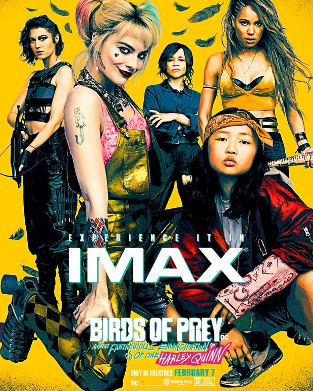 Póster de Aves de Presa 